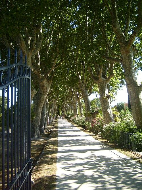La Valette-du-Var - immobilier - CENTURY 21 Colbert Immobilier - Jardin_de_Baudouvin