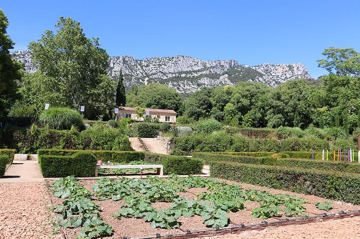 La Valette-du-Var - immobilier - CENTURY 21 Colbert Immobilier - Jardin_remarquable_de_Baudouvin