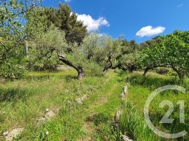 maison à vendre - 6 pièces - 150.0 m2 - LE REVEST LES EAUX - 83 - PROVENCE-ALPES-COTE-D-AZUR - Century 21 Colbert Immobilier maison à vendre - 6 pièces - 150.0 m2 - LE REVEST LES EAUX - 83 - PROVENCE-ALPES-COTE-D-AZUR - Century 21 Colbert Immobilier