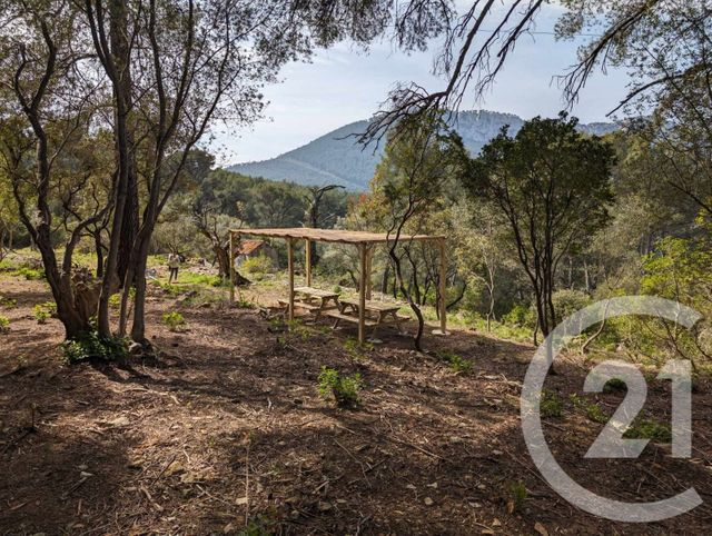 terrain à vendre - 5258.0 m2 - LA VALETTE DU VAR - 83 - PROVENCE-ALPES-COTE-D-AZUR - Century 21 Colbert Immobilier