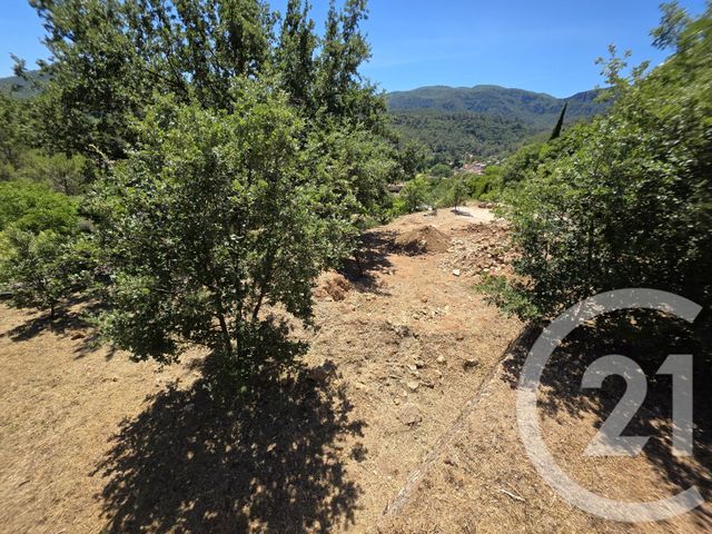 terrain à vendre - 970.0 m2 - BELGENTIER - 83 - PROVENCE-ALPES-COTE-D-AZUR - Century 21 Colbert Immobilier
