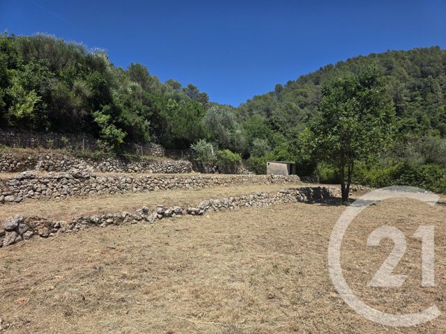 terrain à vendre - 1017.0 m2 - BELGENTIER - 83 - PROVENCE-ALPES-COTE-D-AZUR - Century 21 Colbert Immobilier