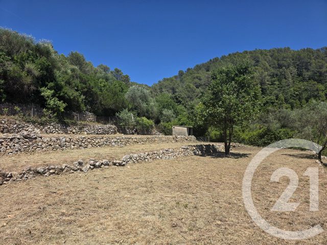 terrain à vendre - 1017.0 m2 - BELGENTIER - 83 - PROVENCE-ALPES-COTE-D-AZUR - Century 21 Colbert Immobilier