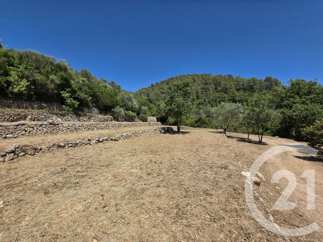 terrain à vendre - 1017.0 m2 - BELGENTIER - 83 - PROVENCE-ALPES-COTE-D-AZUR - Century 21 Colbert Immobilier